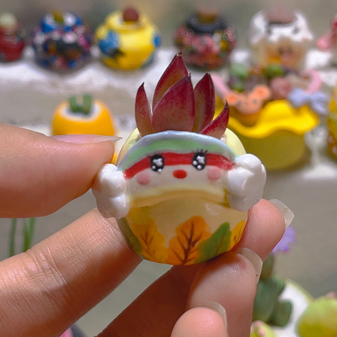 022高端多肉带盆带土手工盆