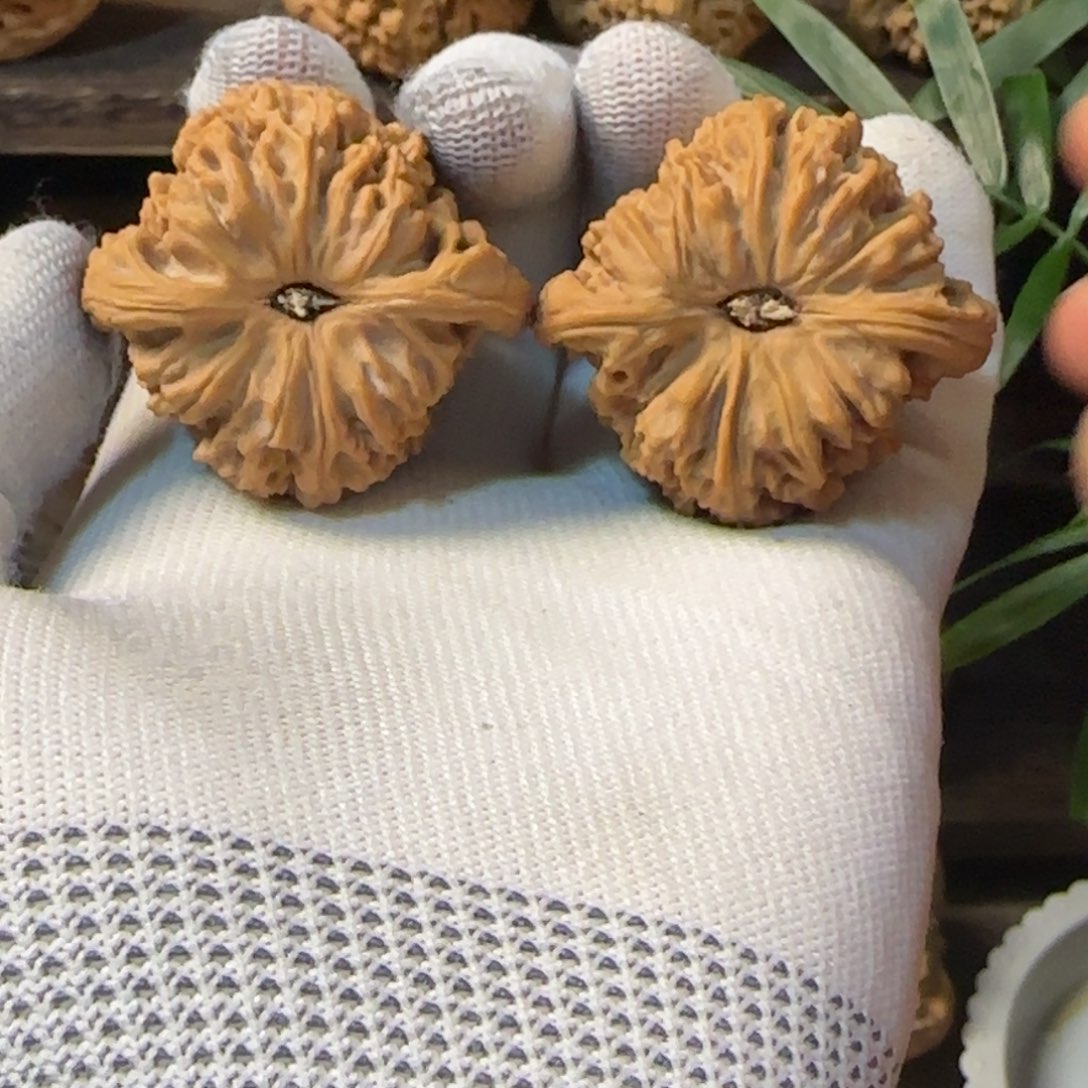 文玩核桃把件南将石歪尖凹底43尺