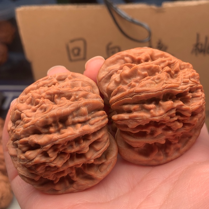 W***J大叶紫檀（黑酸枝木类）