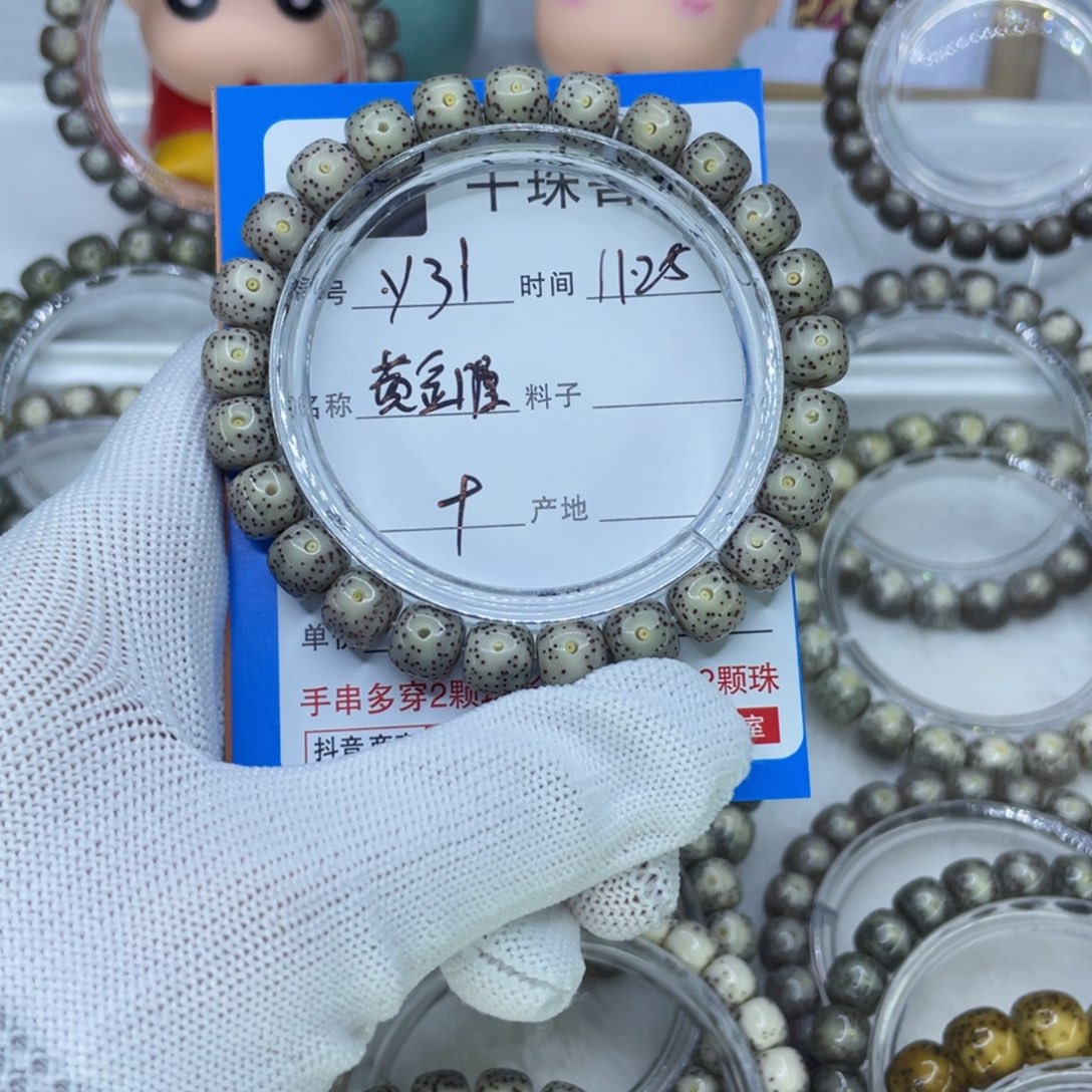 菩提籽类Y31黄金瞳00