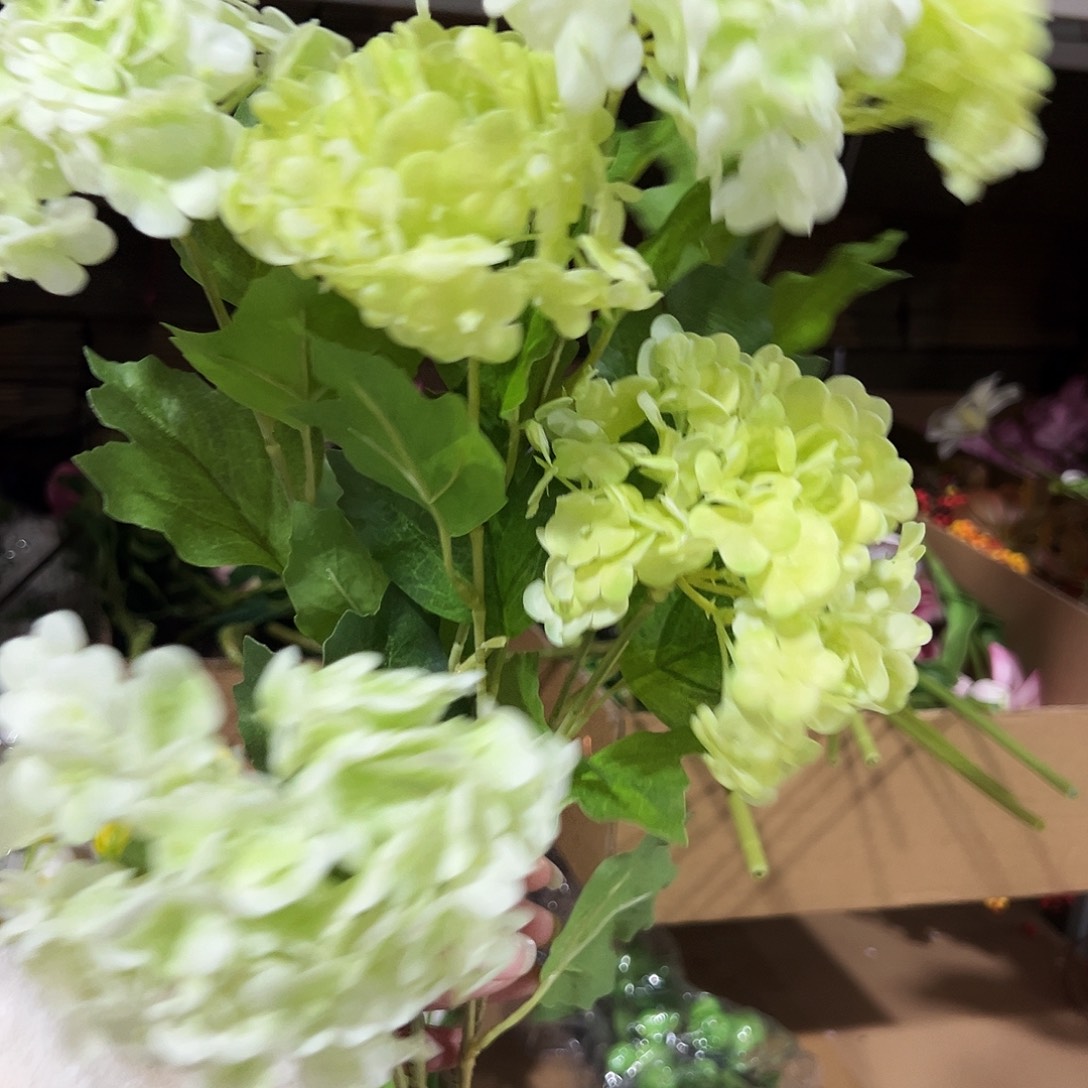 2枝混色手感雪球花。      