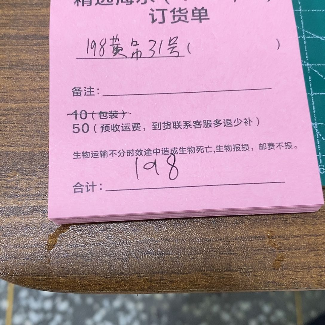 海水鱼精选黄吊31号