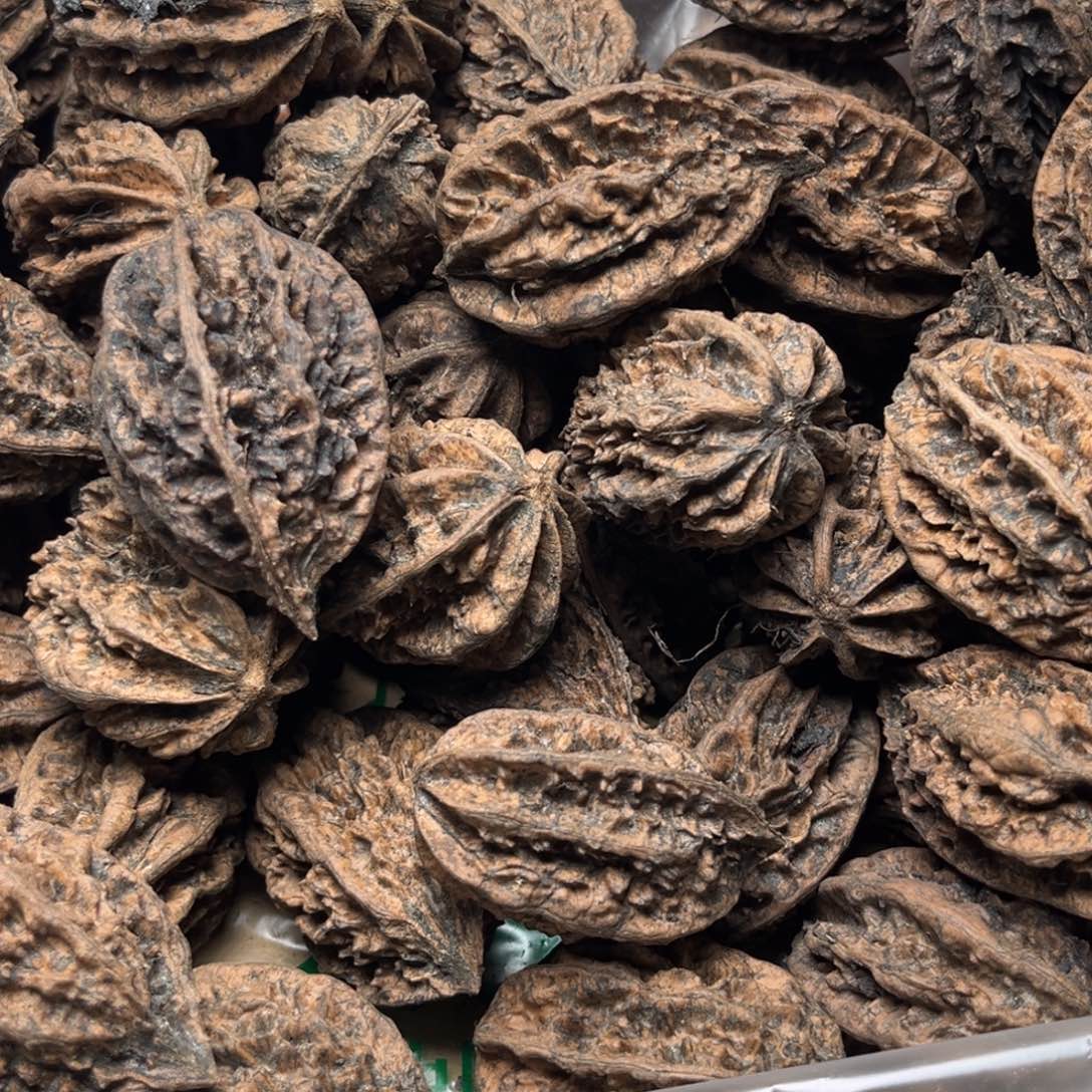 手串文玩核桃核桃86