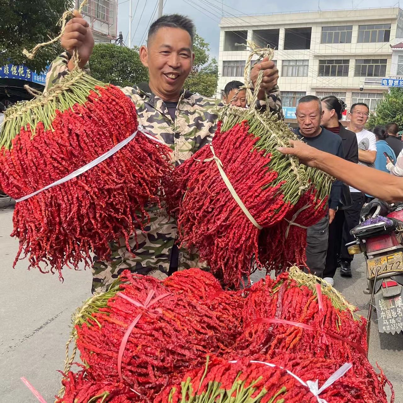 2025年贵州特产大方干皱椒皮个个微辣偏向中辣特香250g包邮