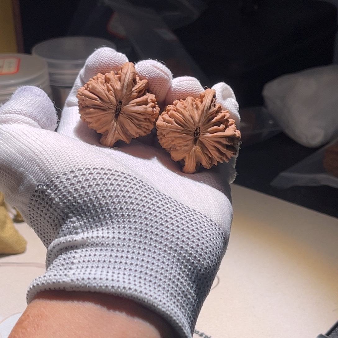 C***c钱品。43楼子 楼子 楼子。