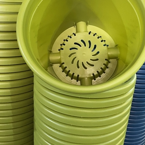 树脂四季4号果绿无托8个