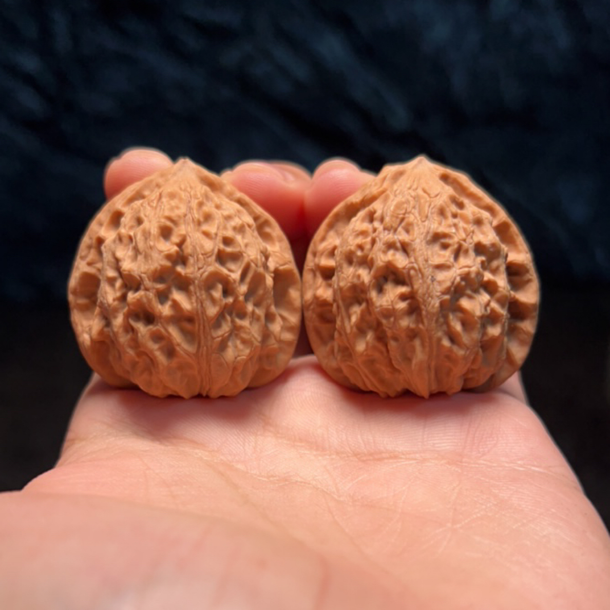 文玩核桃 仙台公子帽 4676号 39尺寸