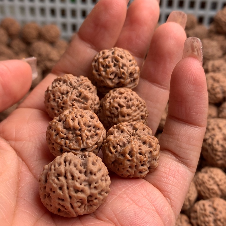 【闪购商品】金刚菩提手串夏****.20尺寸闷墩