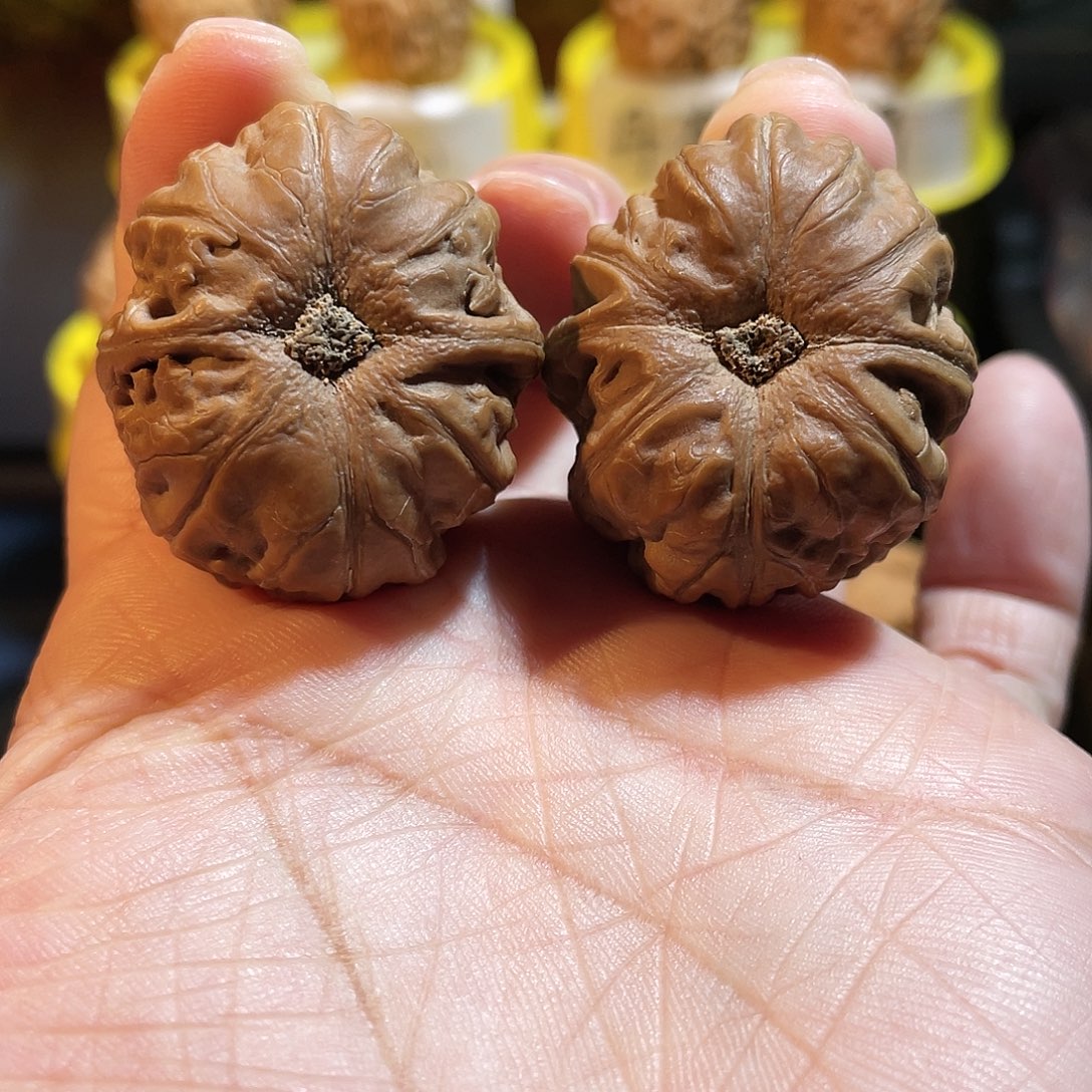 吊坠文玩核桃金钱底