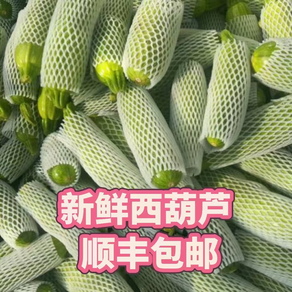 【贝亚芮顺丰】新鲜西葫芦现摘茭瓜山东时令蔬菜当季蔬菜新鲜现摘