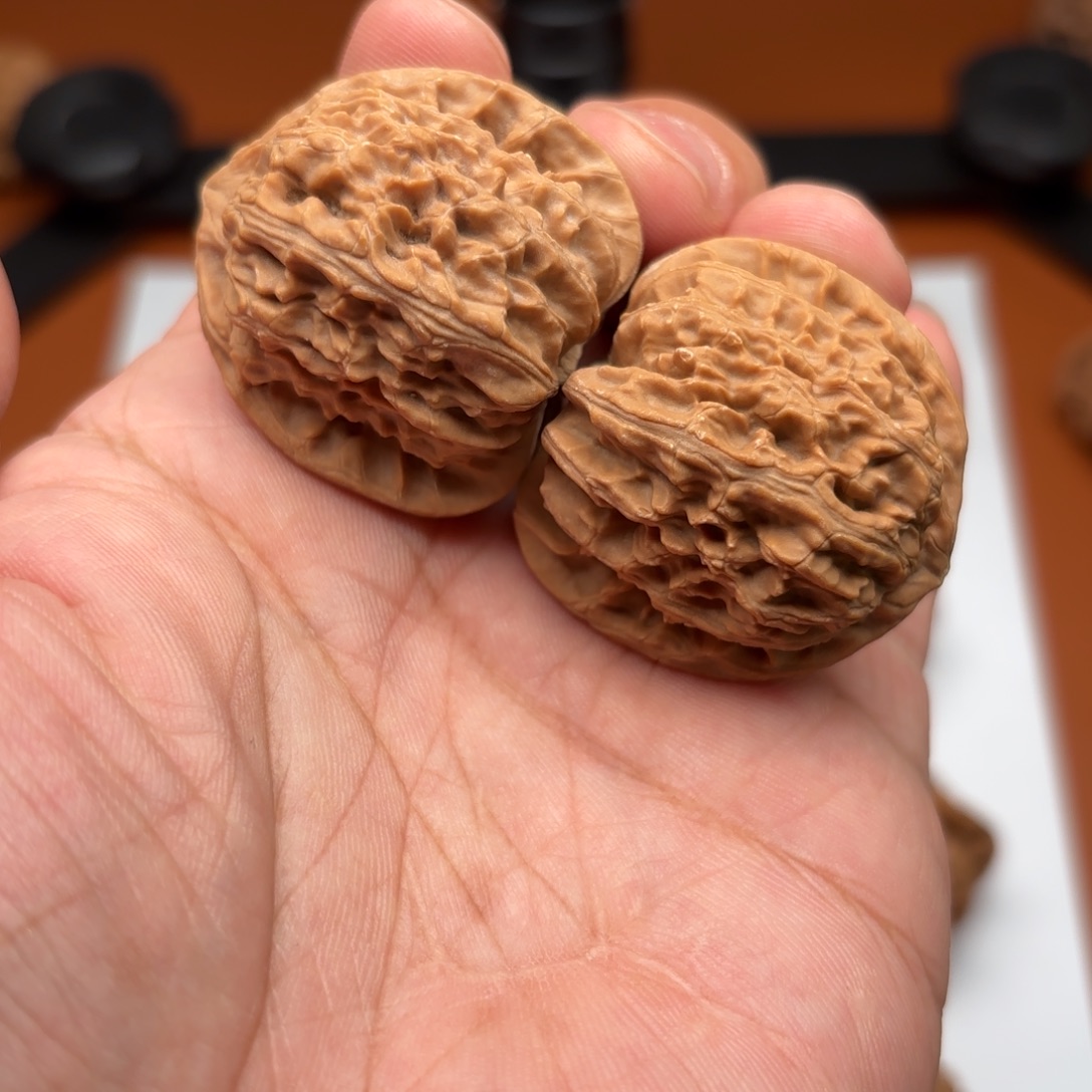 把件文玩核桃白狮子