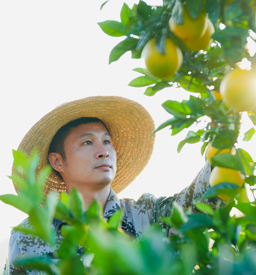 【邮政包邮】江西信丰赣南脐橙新鲜水果皮薄香甜多汁产地直发