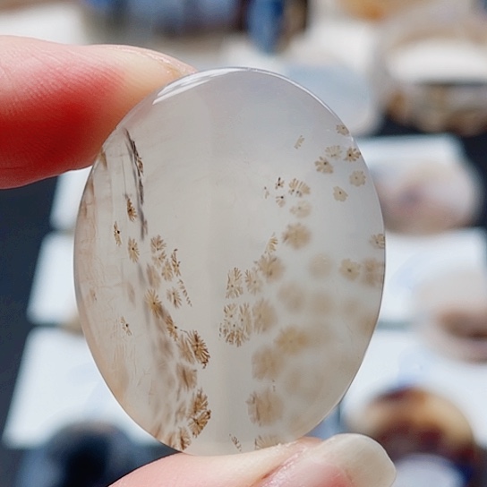 玛瑙/玉髓珠宝奇石未镶嵌