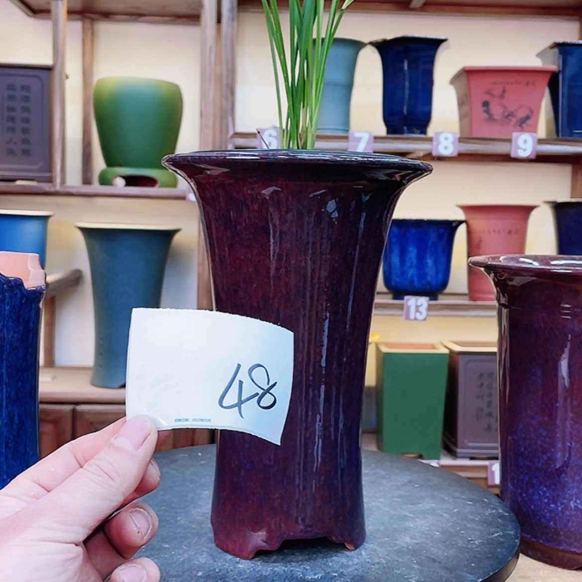 【闪购商品】紫砂花盆陈*辉兰花75266852558525587