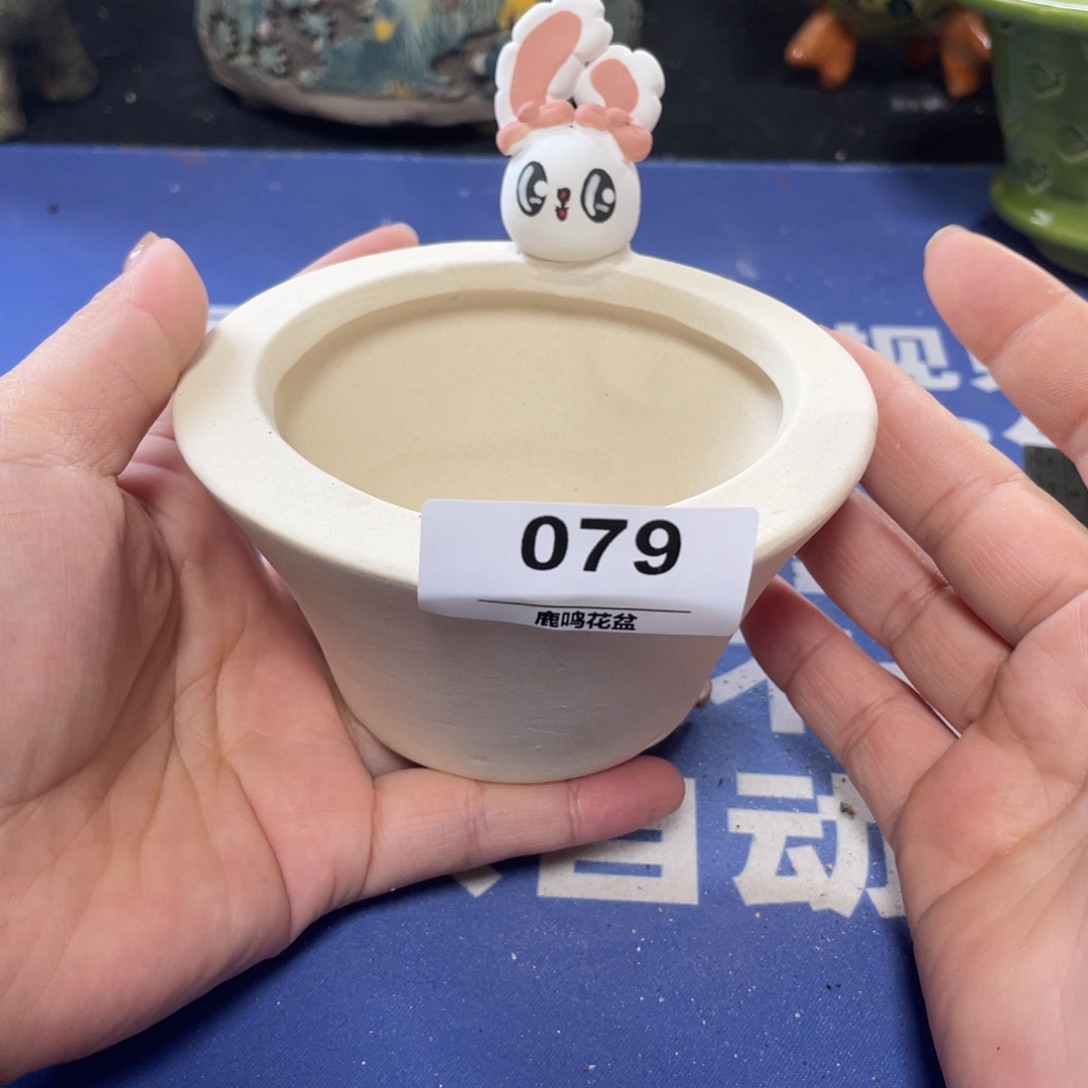 特价微瑕疵不退不换哦79