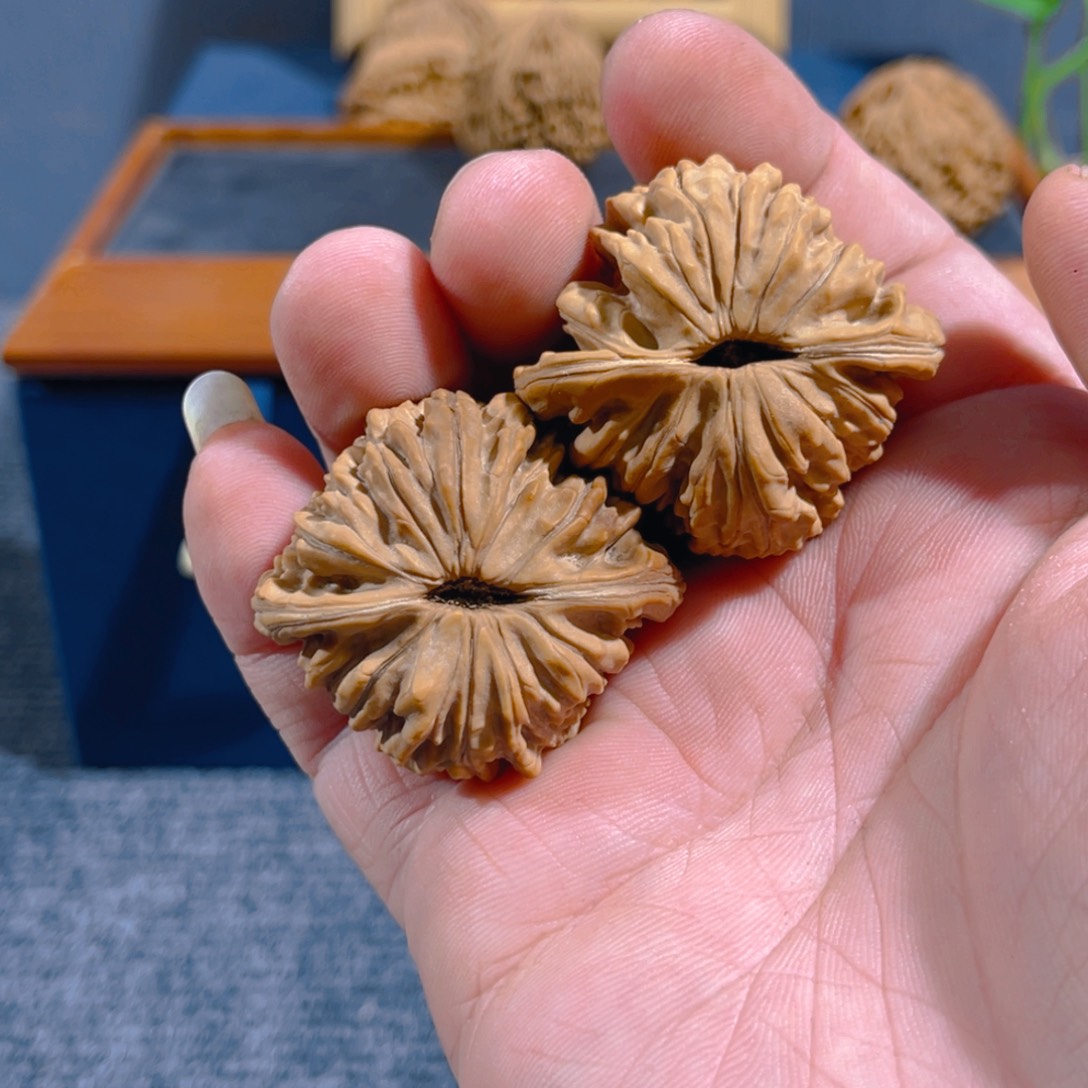 文玩核桃吊坠杨****）四座楼