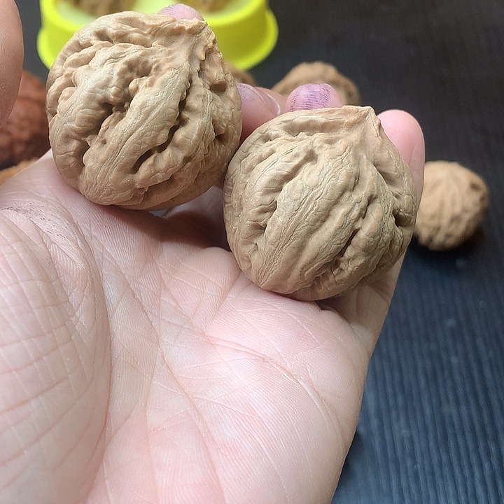 吊坠文玩核桃38 霸王龙