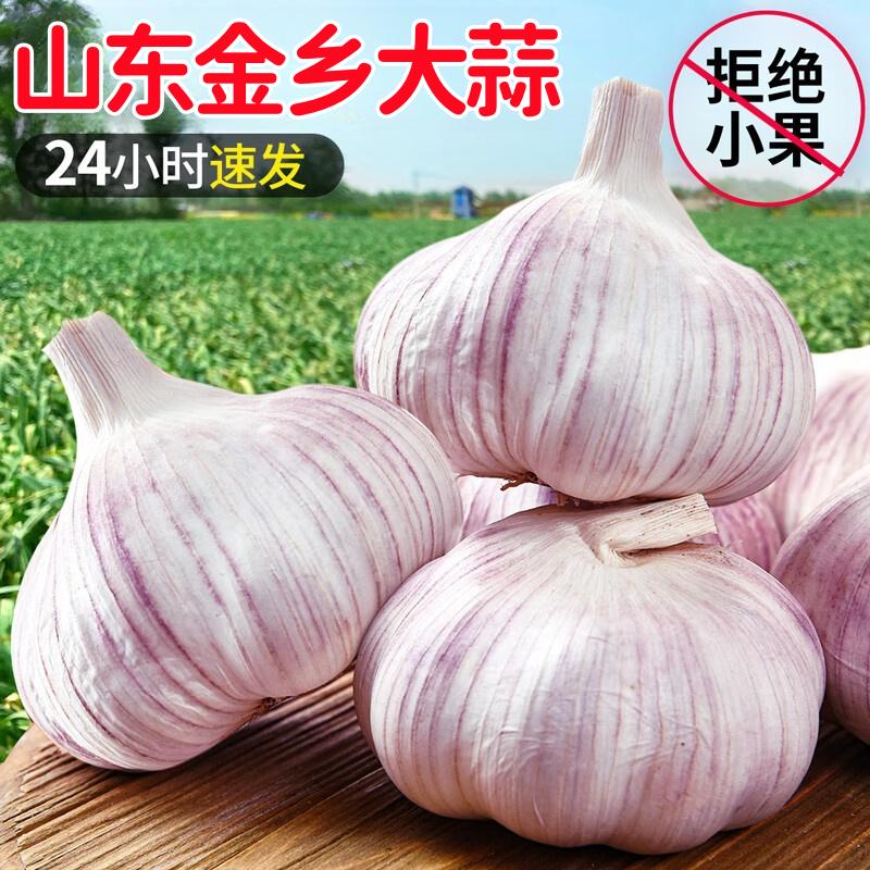 【金乡新干蒜】5斤大蒜头新鲜紫白皮蒜可种金乡自种大蒜1斤3斤