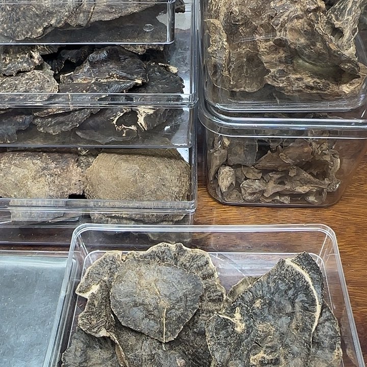 沉香沉香碎屑壳子