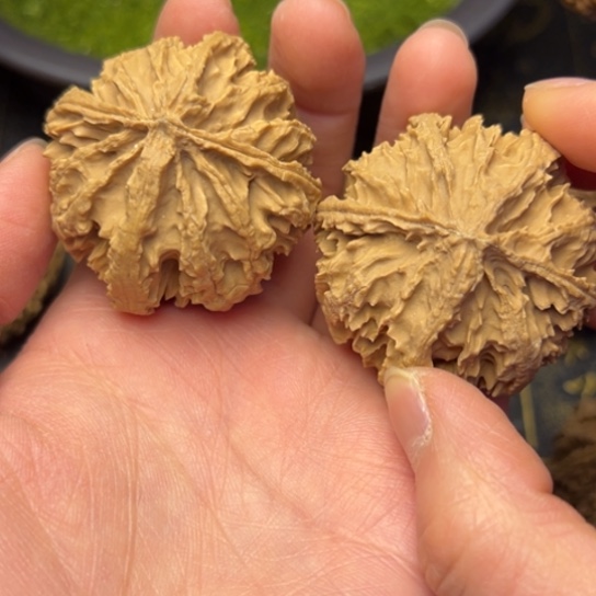 文玩核桃把件享*秦岭核桃9