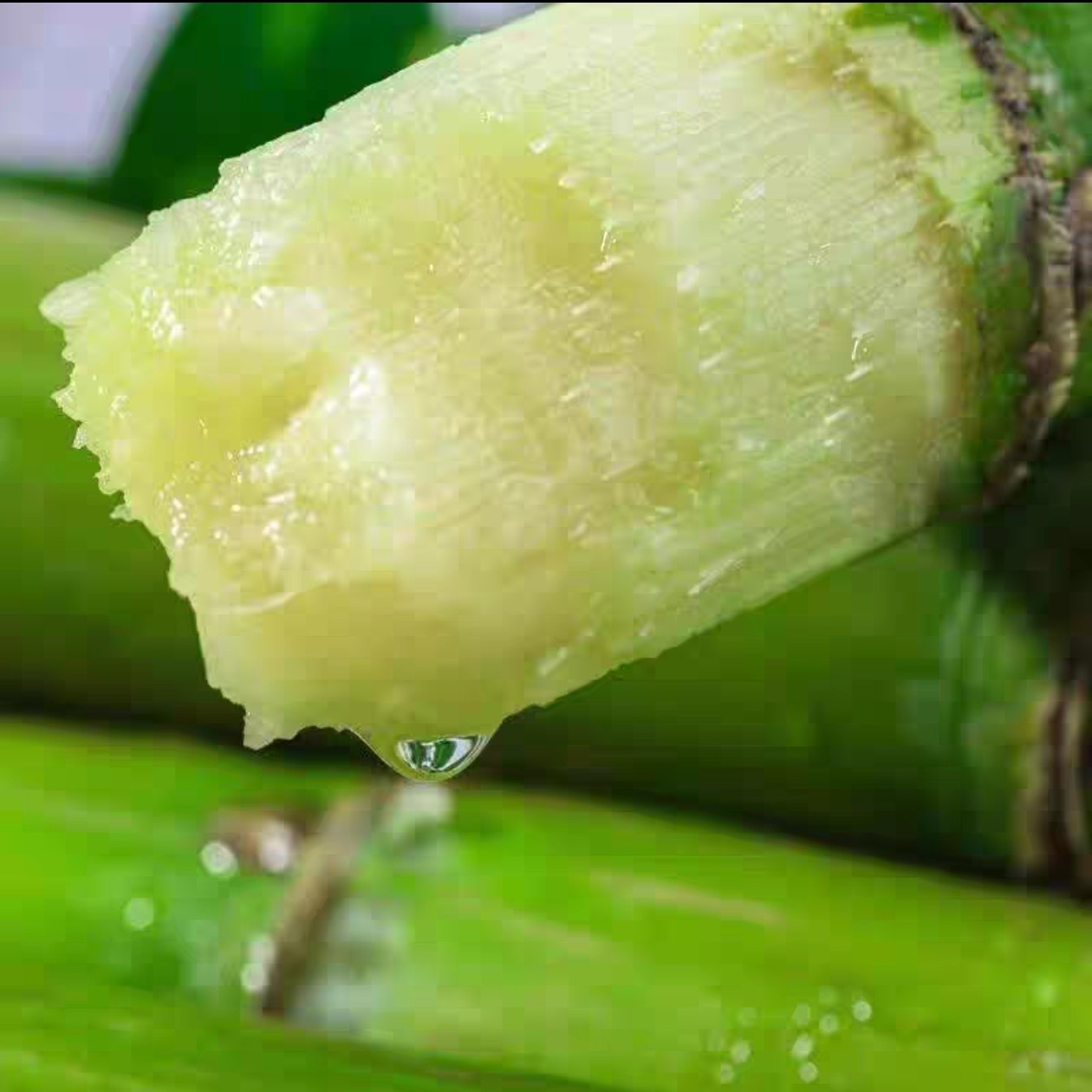 直播专用五斤装纯手工古法