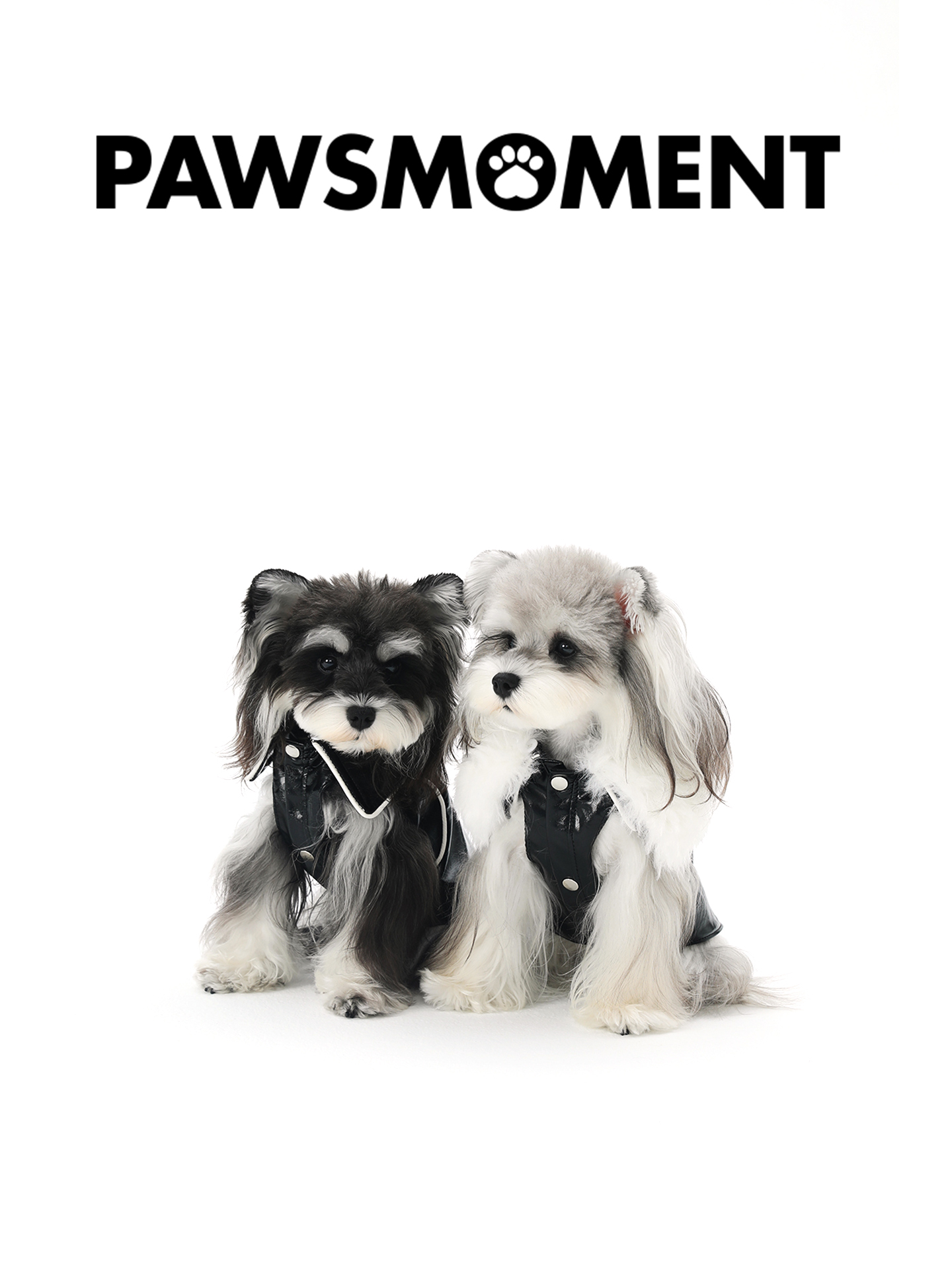 线条感皮衣外套马甲.皮衣系列.雪纳瑞西施犬宠物服装