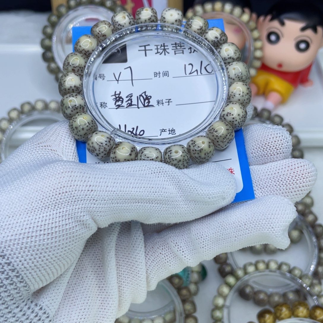 菩提籽类Y7黄金瞳