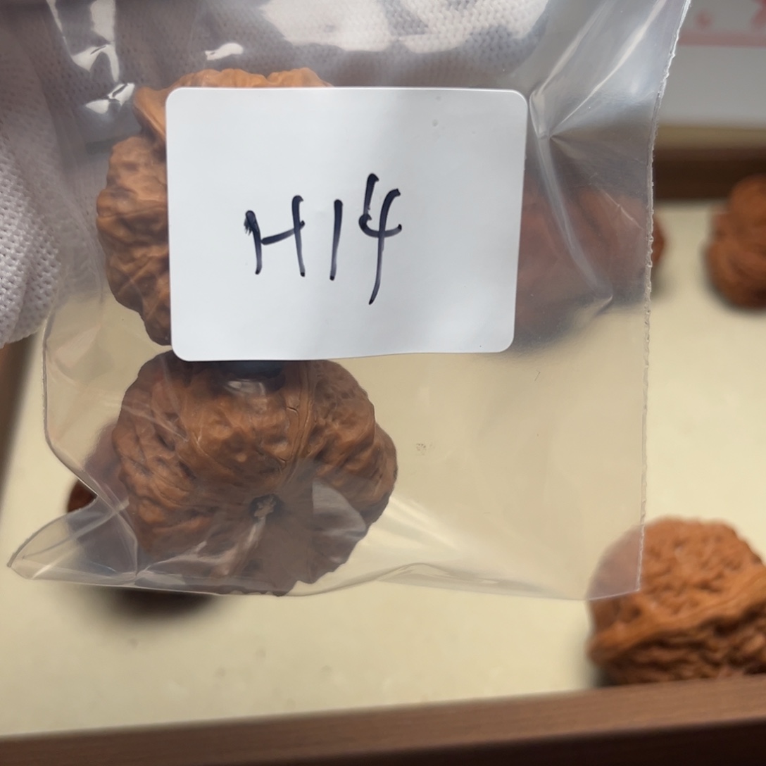 文玩核桃吊坠蛤蟆h14