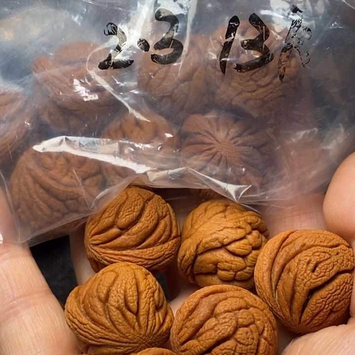 桃核吊坠秦岭山野生桃核