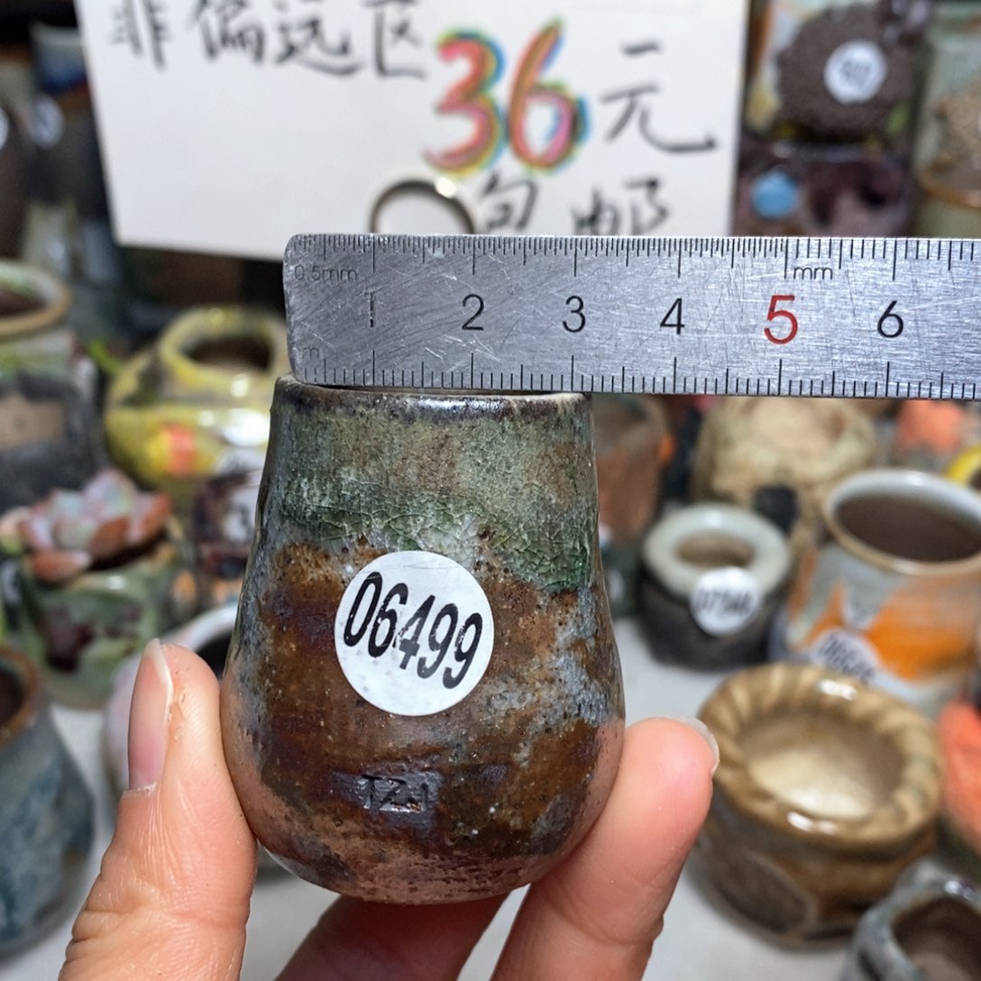 花盆拍5送一个小礼物