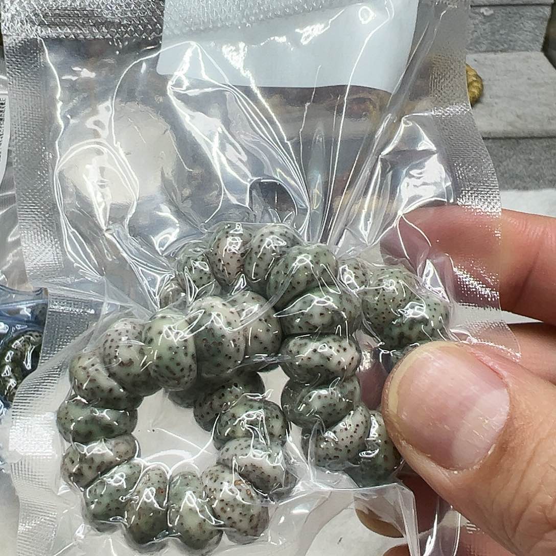 星月菩提手串188绿星月菩提单圈大肠1.3