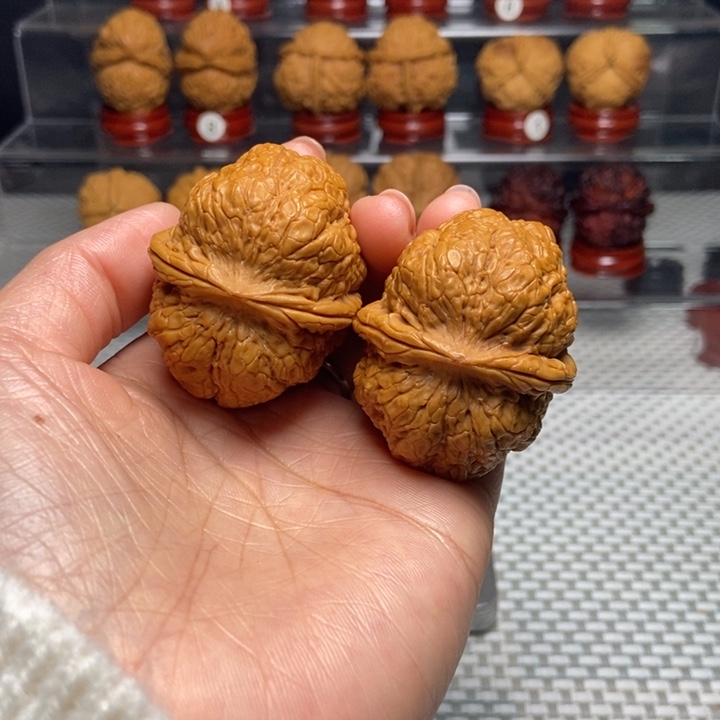 文玩核桃把件18黄金蟒