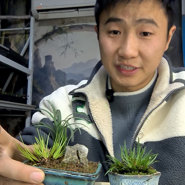 忧***子中青园艺一物一拍花150