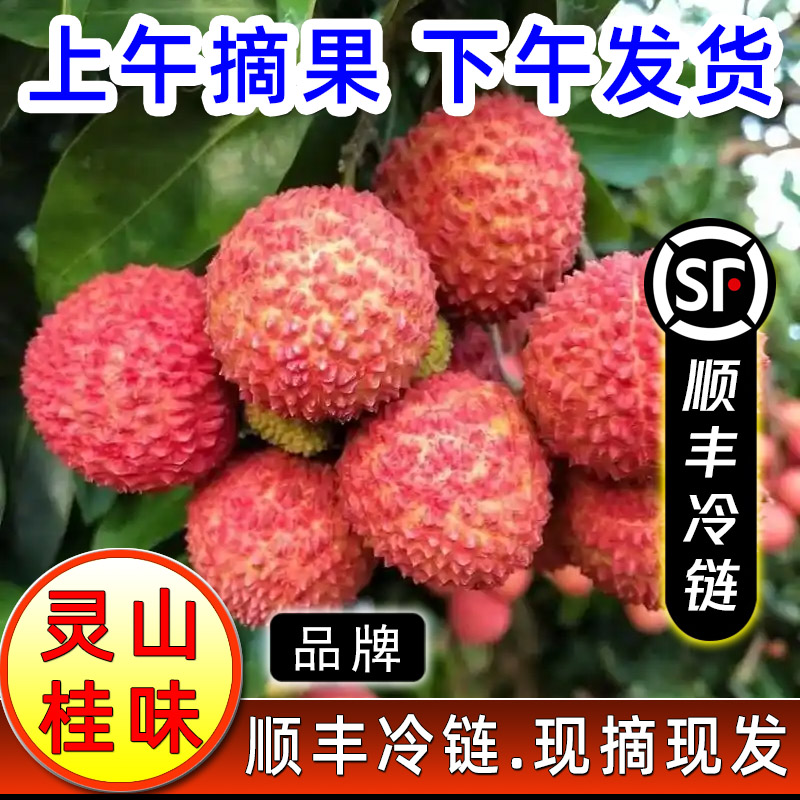 SF【顺丰冷链】发货新鲜桂味荔枝当季水果超甜多汁细核