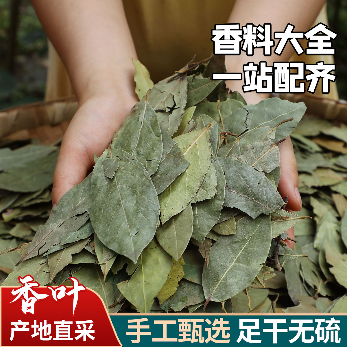 香叶50g 可打粉月桂叶无硫熏 自然晒干 川菜火锅香料卤料炖肉调料