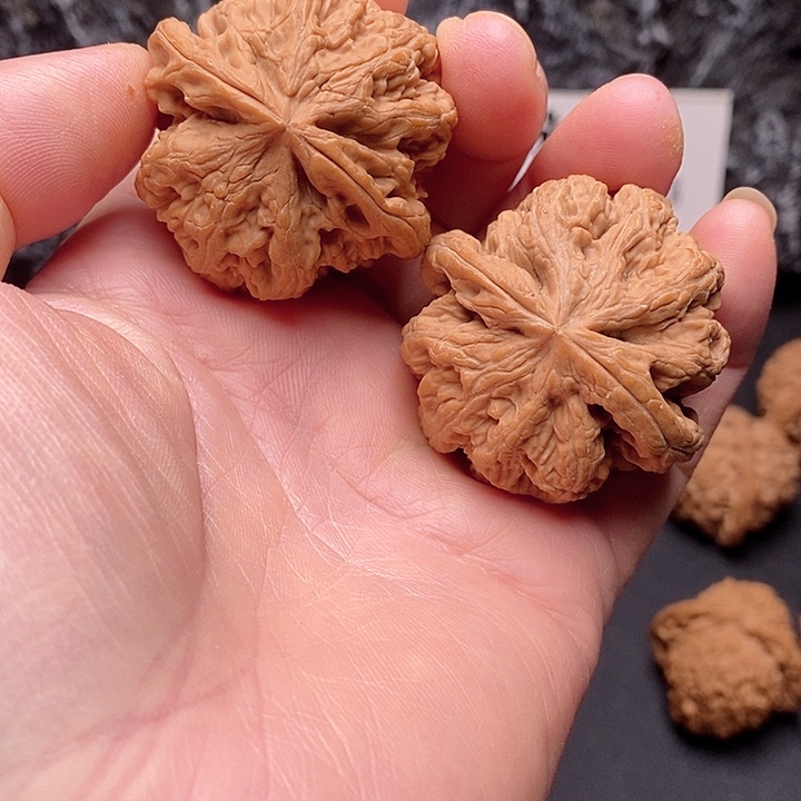 核桃43平谷粗筋核桃