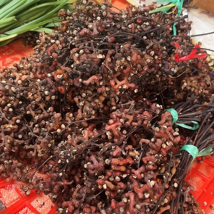 中国大陆炎陵拐枣3斤