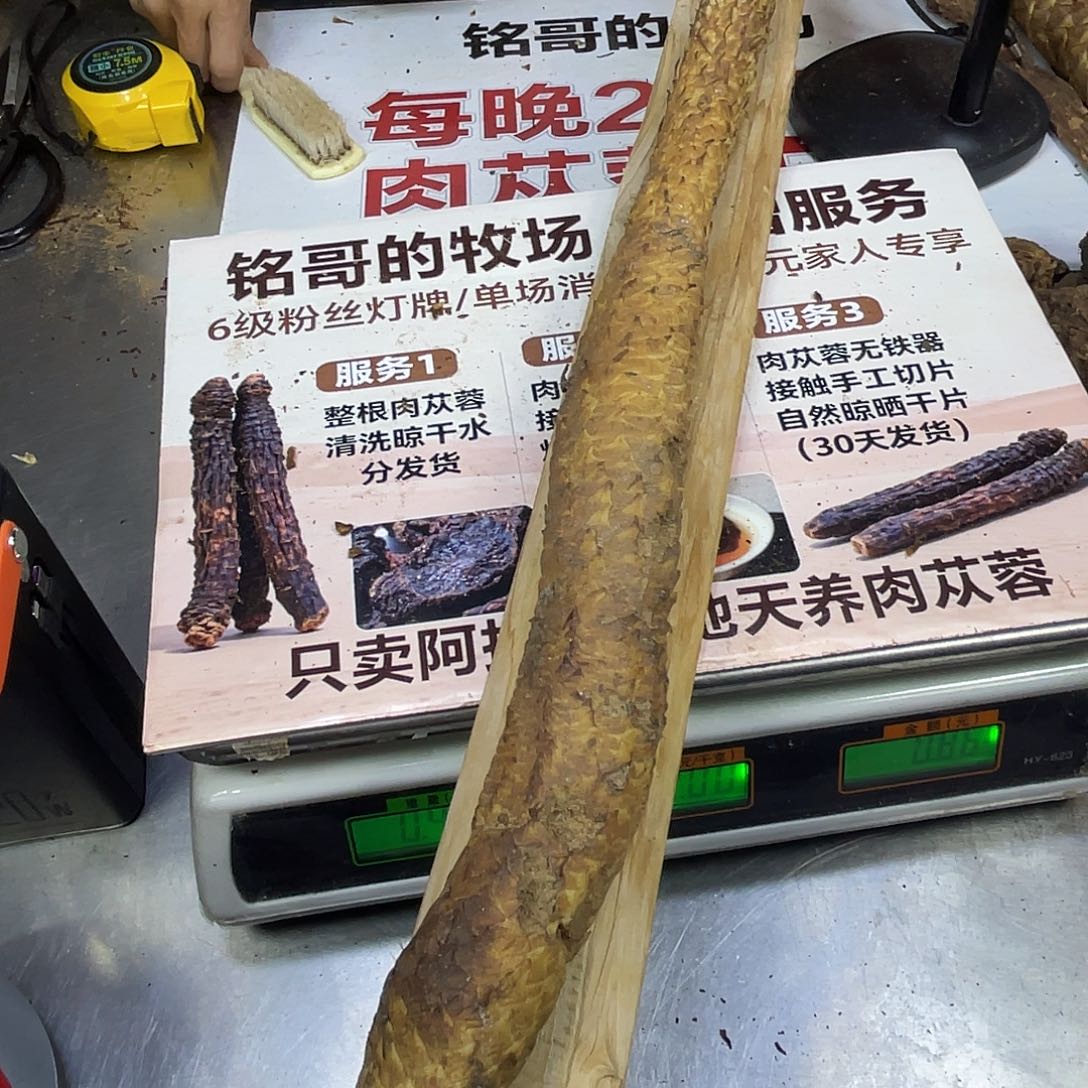 邵***成中国大陆金黄皮435克59厘米