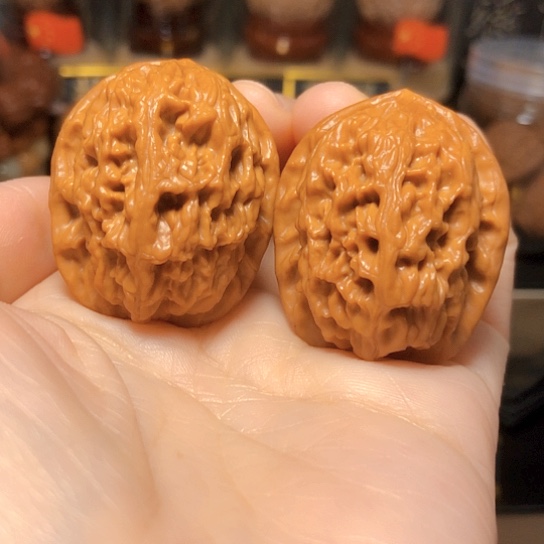 野生小众：精品红莲