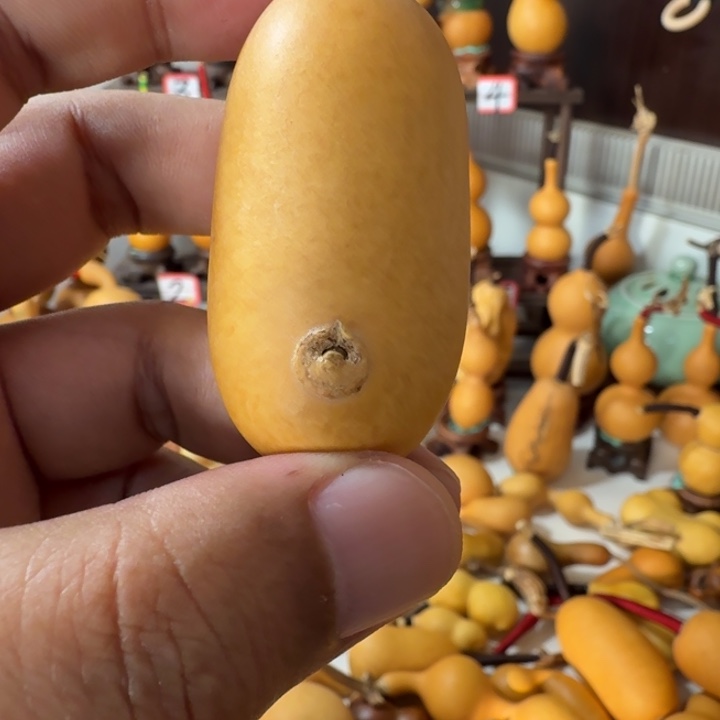 *****这个世界没有什么