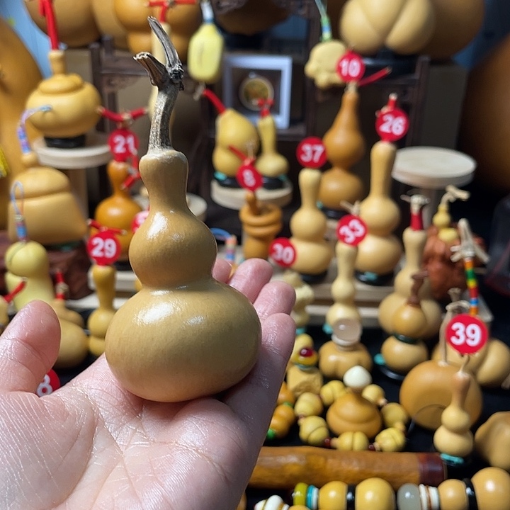 玛***猫葫芦岛连山区……哈佛医学院一