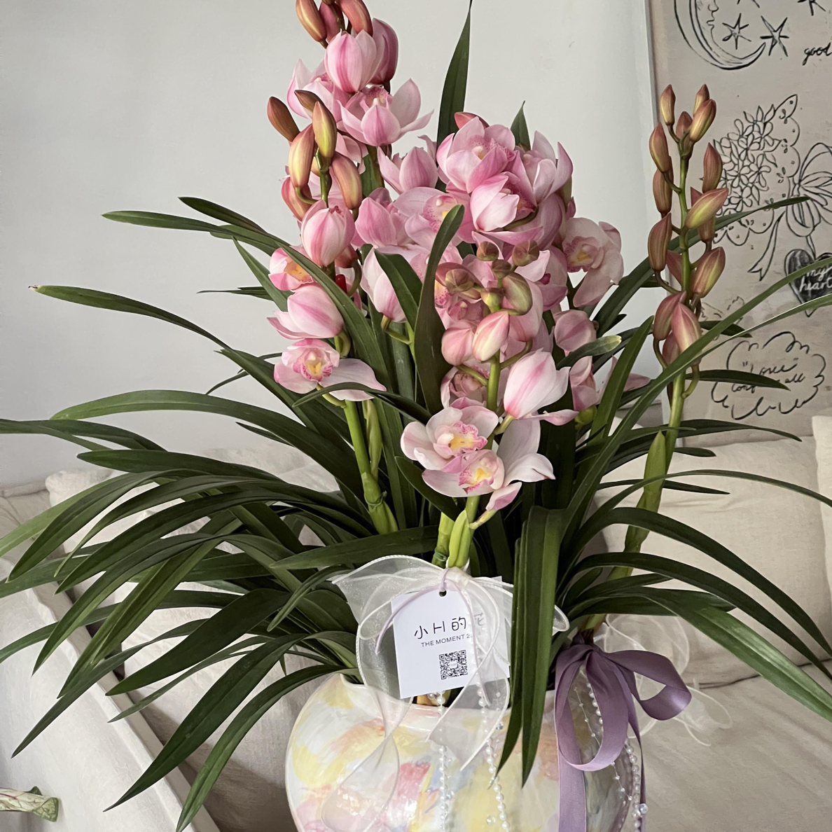 [年宵花]爱恋粉色大花惠兰室内高档盆栽花期长易养护可桌面可落地