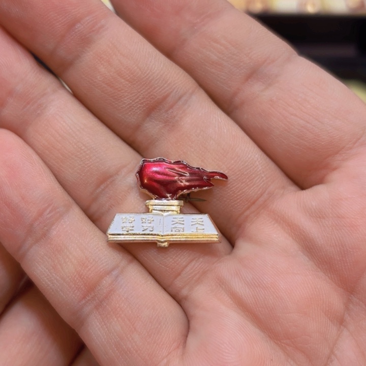 其他普通金属一个