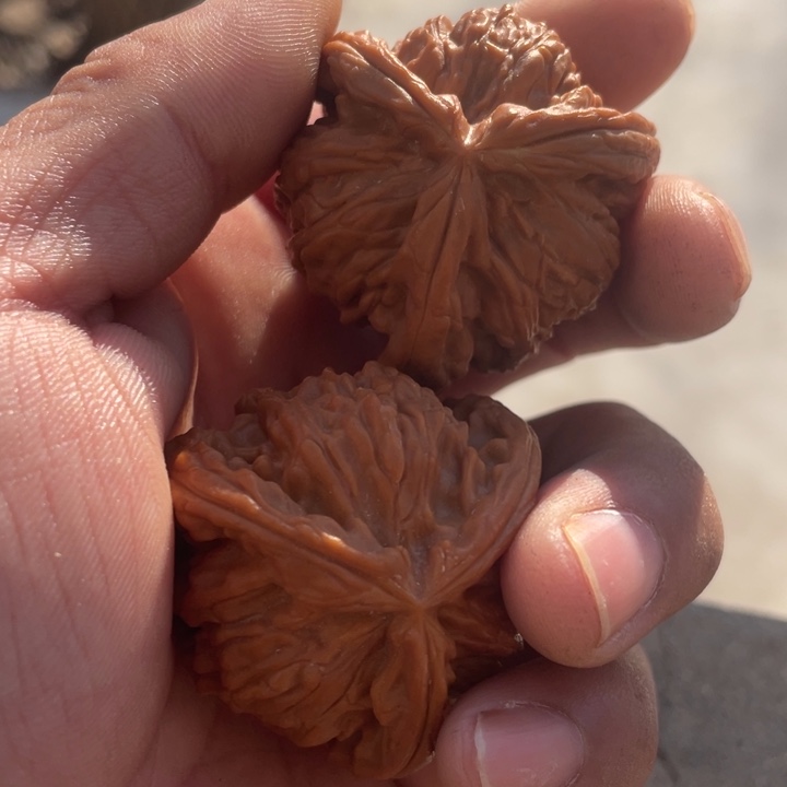 静***5文玩核桃吊坠三棱三棱三棱三棱