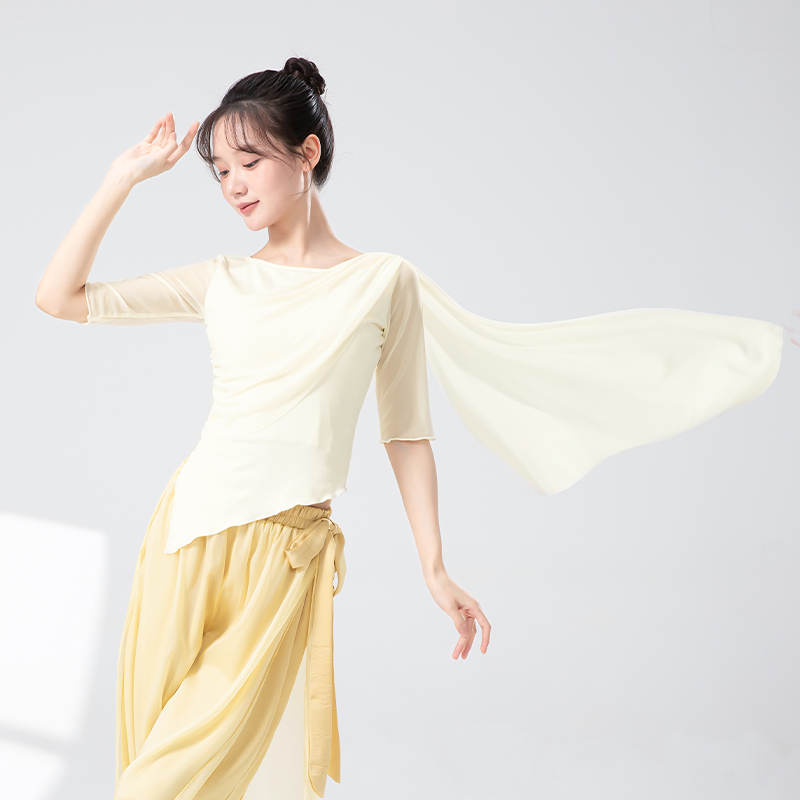 现代舞练功服女夏季新款拼接网纱仙气飘逸不规则上衣形体舞蹈服装