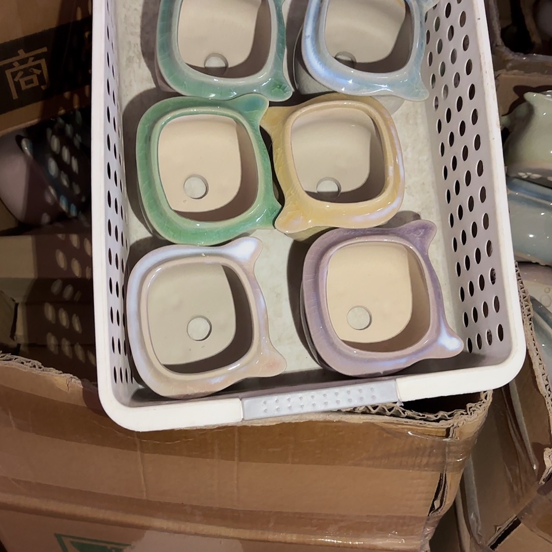 漫***猫量货/口5.5高5深浅搭配发6