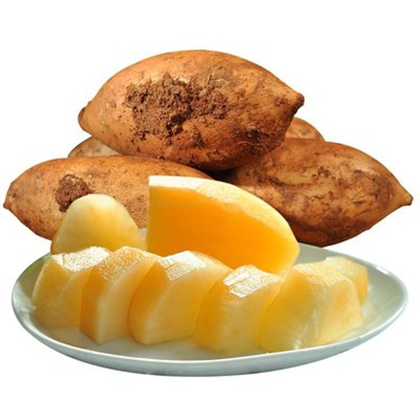 凯博农业高原雪莲果应季新鲜现挖大果清甜脆爽多汁