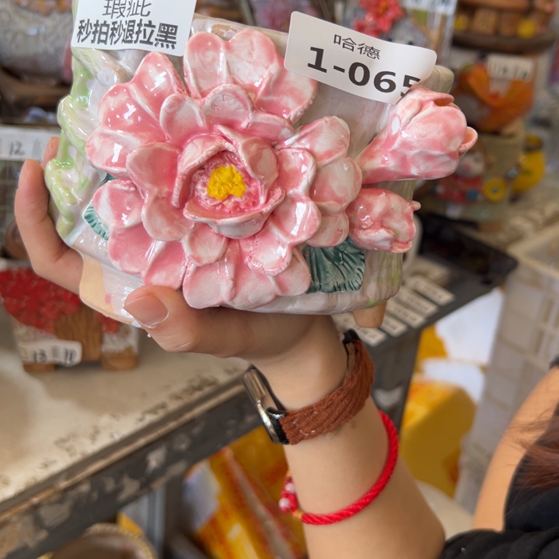 多肉花盆满18.8米包邮秒退拉黑瑕疵165