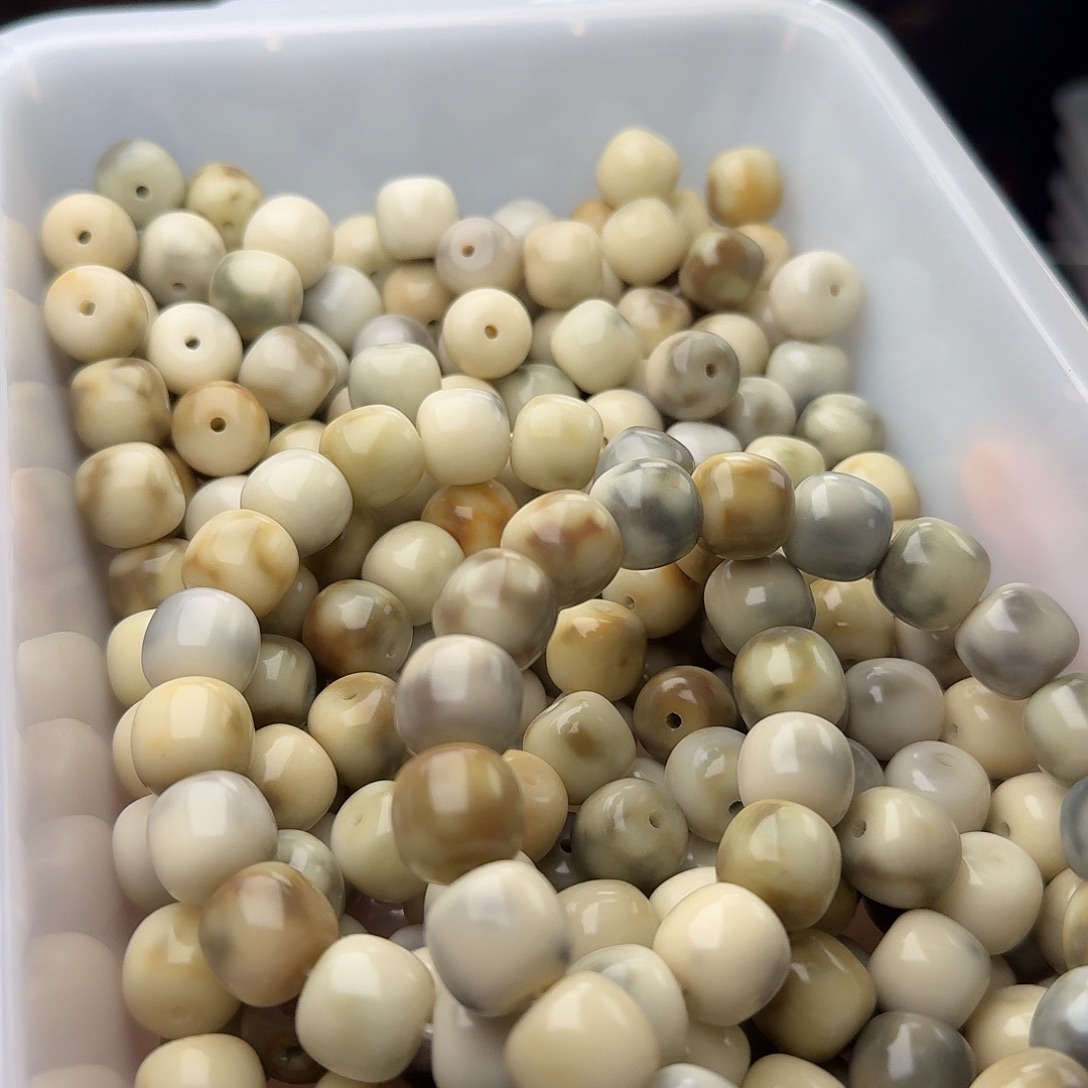 吊坠菩提根/象牙果20 颗骨瓷霉豆腐 13 桶