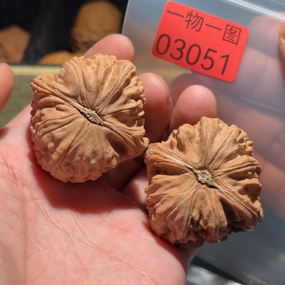 文玩核桃手串白狮子
